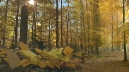 Richard Clayderman Theme Autumn Leaves
