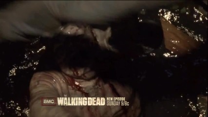 The Walking Dead 2x04 - Cherokee Rose Promo