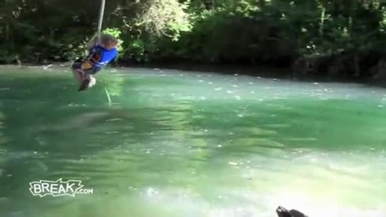 Dog Pulls Boy Off Rope Swing 