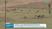 Полицията в Кърджали подаде сигнал в европрокуратурата за злоупотреби със субсидии за 350 000 евро