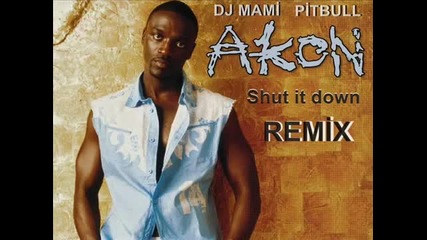 Dj Mami Pitbull Ft Akon Shut It Down Remix 2010 