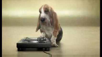 Beatboxing Dog