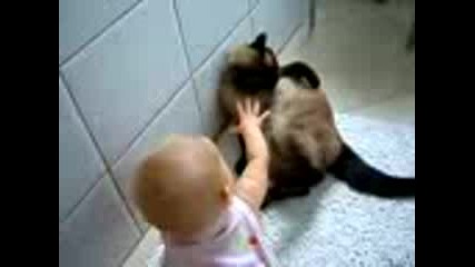 Любопитно Бебе И Една Мързелива Котка