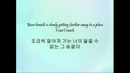 Kim Heechul - {soul} [han & Eng]