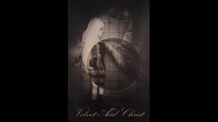 Velvet Acid Christ - Exit [ Diseased World ]