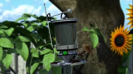 Flying Squirrels