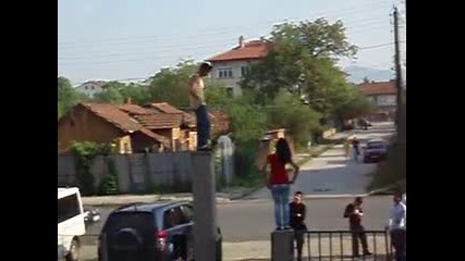 P1010341