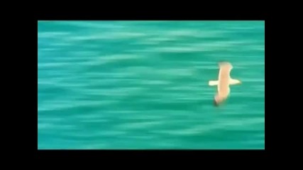 Karmin Shiff & Inusa Dawuda - Party People (chriss Ortega Mix) 2010 