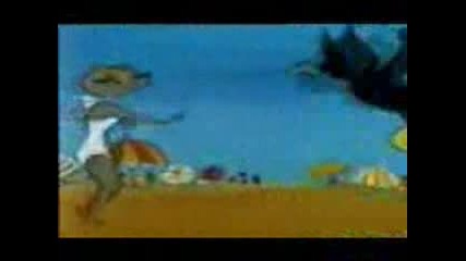 Tom And Jerry