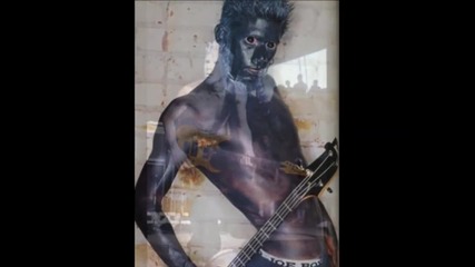 Limp Bizkit (wes Borland)