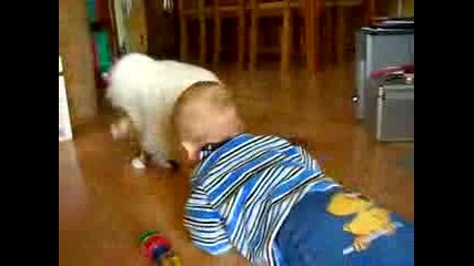 Бебе Си Играе С Котка