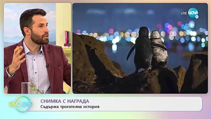 Снимка с награда съдържа трогателна история - „На кафе” (12.10.2021)