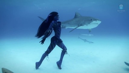 Невероятно! .. Жена танцува с тигрови акули