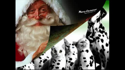 Merry Christmas.wmv