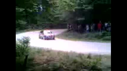 Рали Узана 2009 28.06