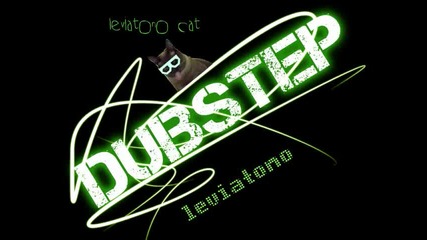 Dubstep - Swag Music