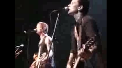 Camp Freddy - New Rose