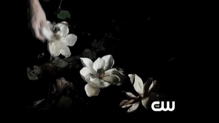 The Vampire Diaries Trailer - Cosmic Love 