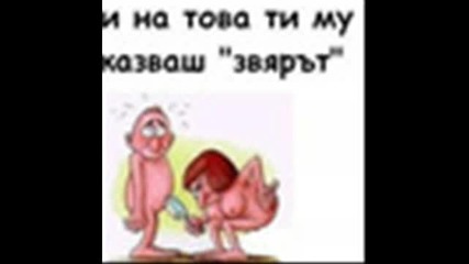 smqh 