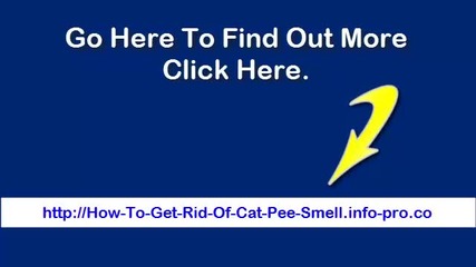 How To Get Cat Pee Smell Out, Cleaning Cat Urine, How To Remove Cat Urine Odor, Cat Urine Odor