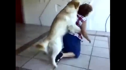 Куче опъва бабка .. Много Смях ...