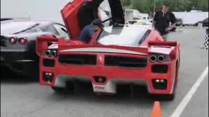 Ferrari Fxx Evolution Insane Start - up Sound! 