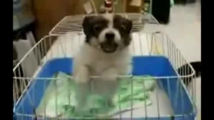 несте виждали такова нещо