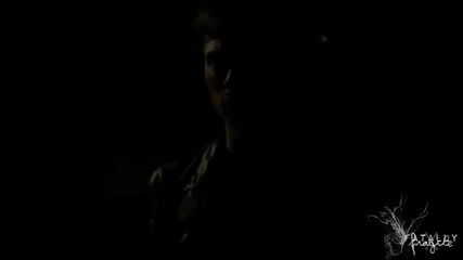 Tvd | This is W A R