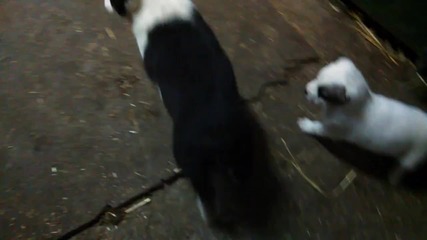 Vid_20141229_150453