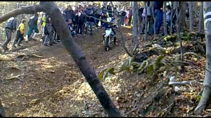 Аризона катери долината опит 1
