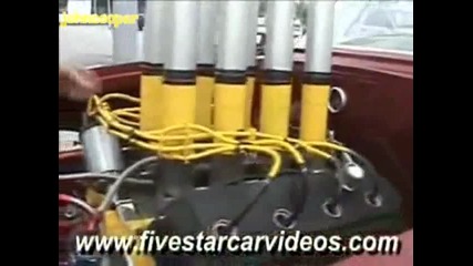 Дали Не е Звяр а?