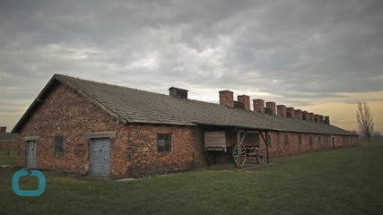 UK Teenagers Held Over Theft of Artefacts From Auschwitz Museum