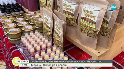 Закриват единствената паралелка по пчеларство в Южна и Югоизточна България?