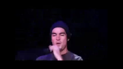 Rbd Dame Bg Sub 