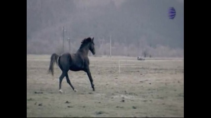 Видео - (2015-09-23 16:56:34)