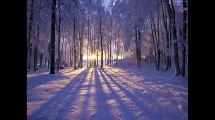 Sting - Hounds of winter (winter slideshow)