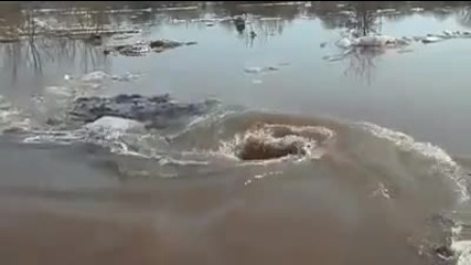 Водовъртеж в река поглъща всичко!