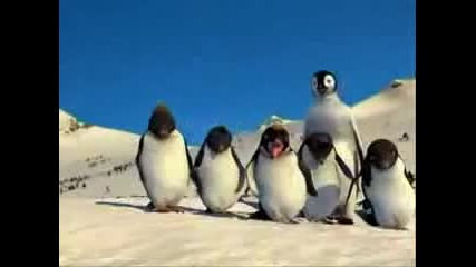 Dancing & Rapper Penguins - 2 