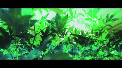 Wiz Khalifa - Maan!