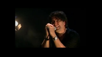 White Rose Transmission - Ashes or the Sparks 2008