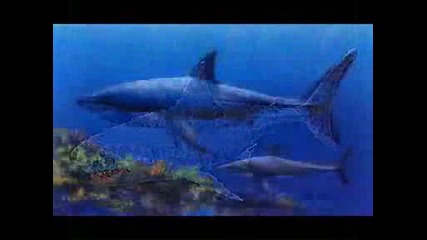 The Megalodon - Най - Голямата Акула - Док.филмче !