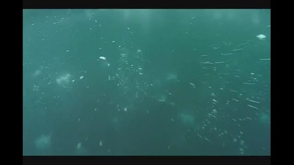 Best of Bbc Planet Earth