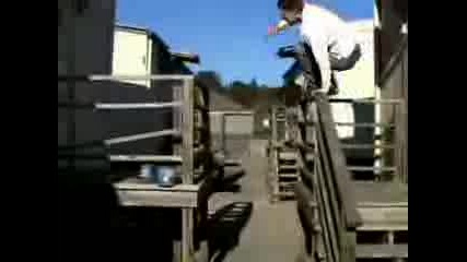 Parkour Видео 2