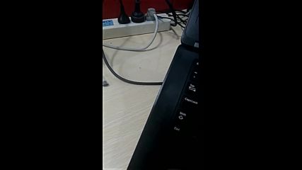3333.mp4