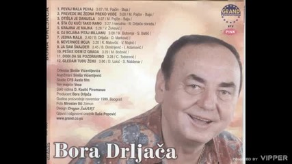 Bora Drljaca - Oj Bojana pitaj Milijanu - (Audio 1999)