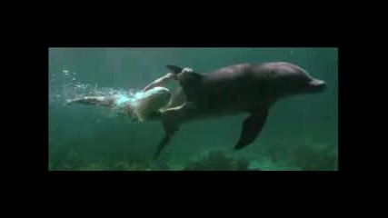 Eye Of The Dolphin -Филм за любовта между момиче и делфин!