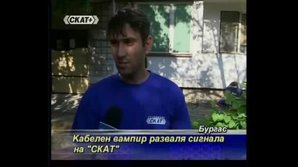 Скат 2