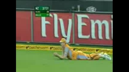 Amazing Catch