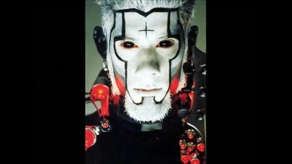 Limp Bizkit (wes Borland)