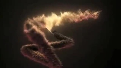 Tricity - Lions